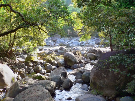 4-Mossman Gorge-AUS